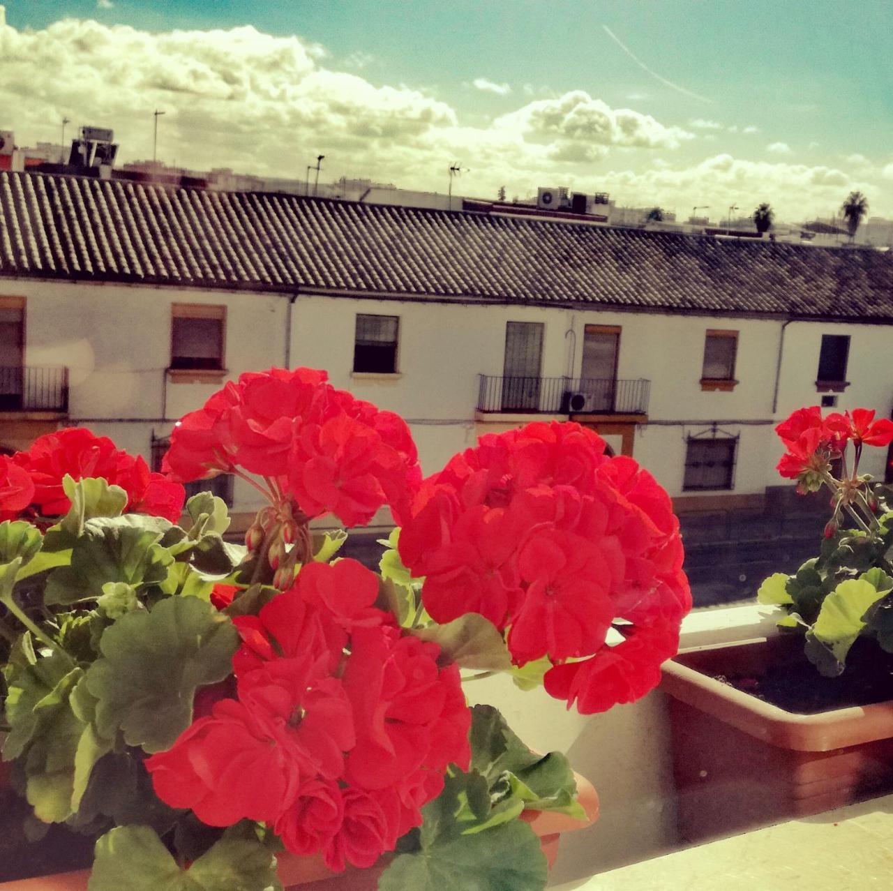 Hotel Abadi Córdoba Exteriér fotografie